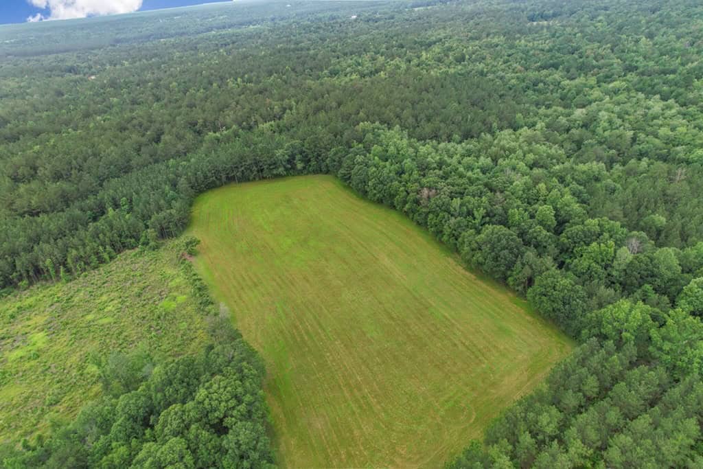 Rare Hunting Tract for Sale in Forrest County, MS