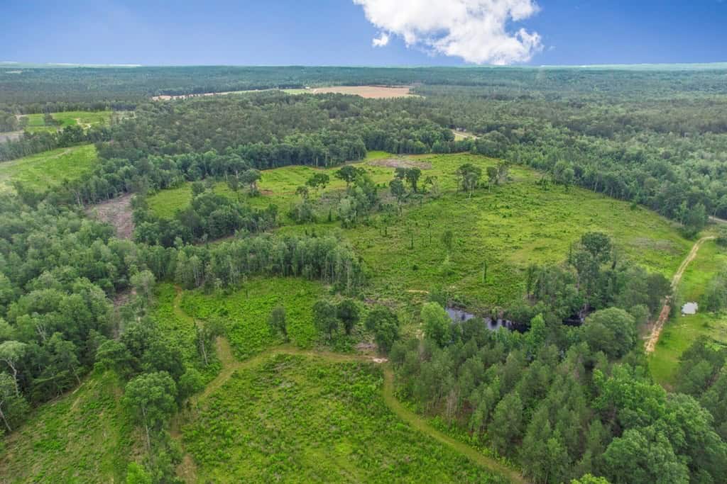 Rare Hunting Tract for Sale in Forrest County, MS