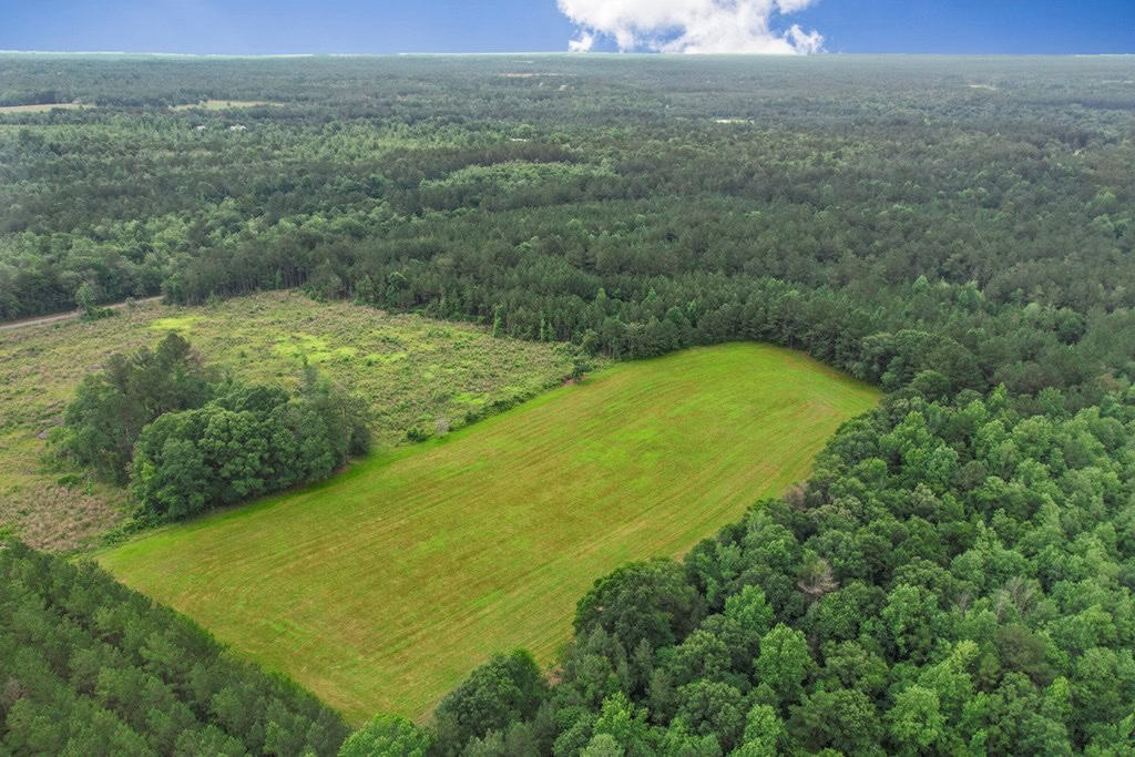 Rare Hunting Tract for Sale in Forrest County, MS