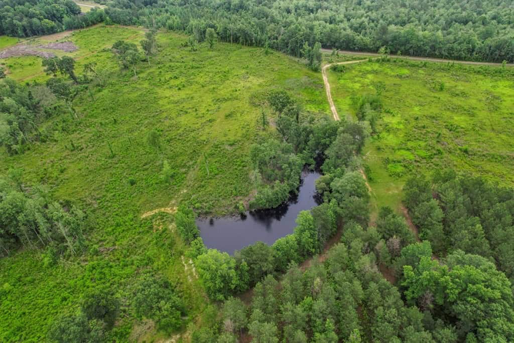 Rare Hunting Tract for Sale in Forrest County, MS