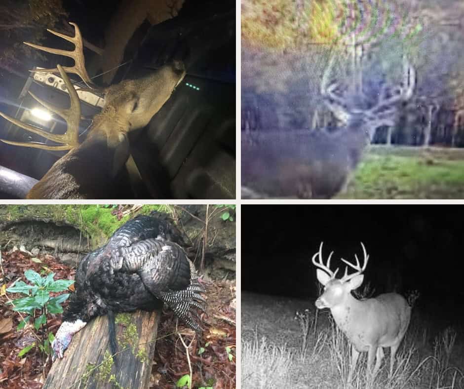 Rare Hunting Tract for Sale in Forrest County, MS