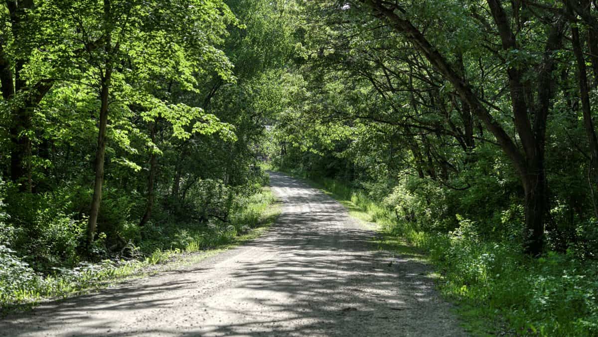 Western Jackson County, WI 11.77 Timbered Acre