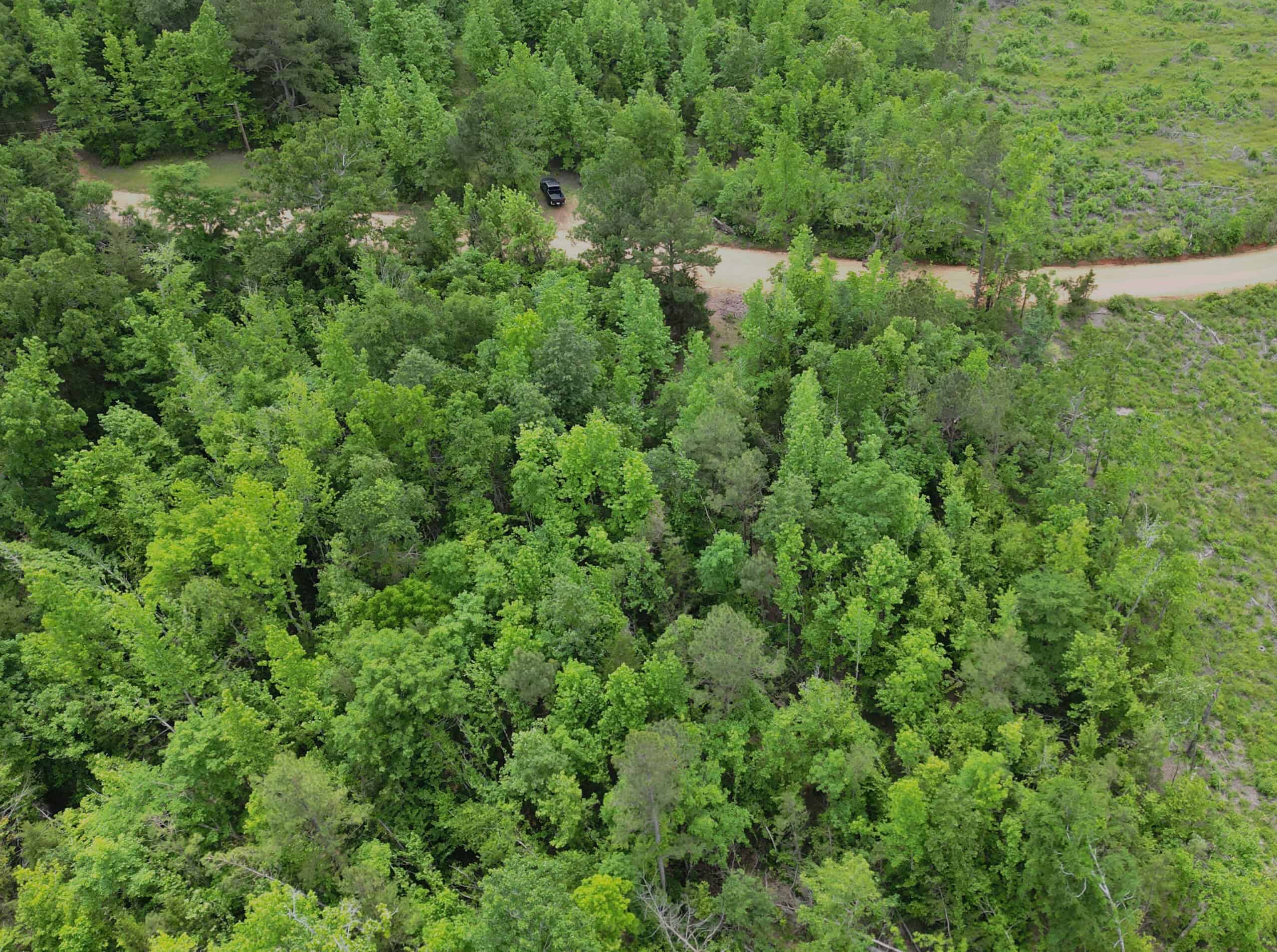 Excellent Hunting Land in Miller County