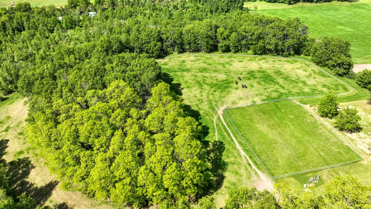 Located in Western Jackson County, WI this 23.55 acres