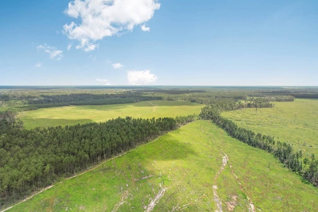 Land for Sale in Tangipahoa Parish, LA.