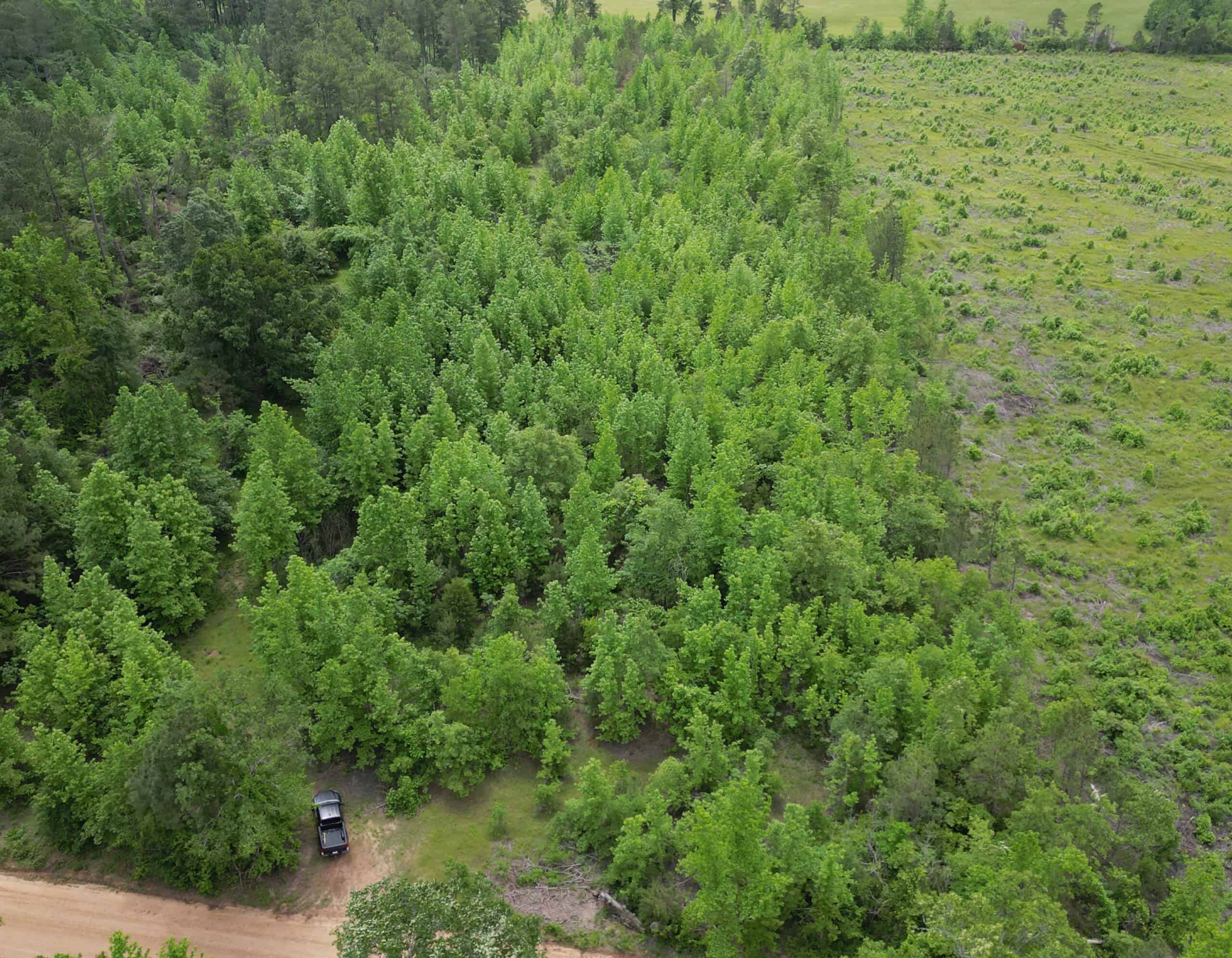 Excellent Hunting Land in Miller County