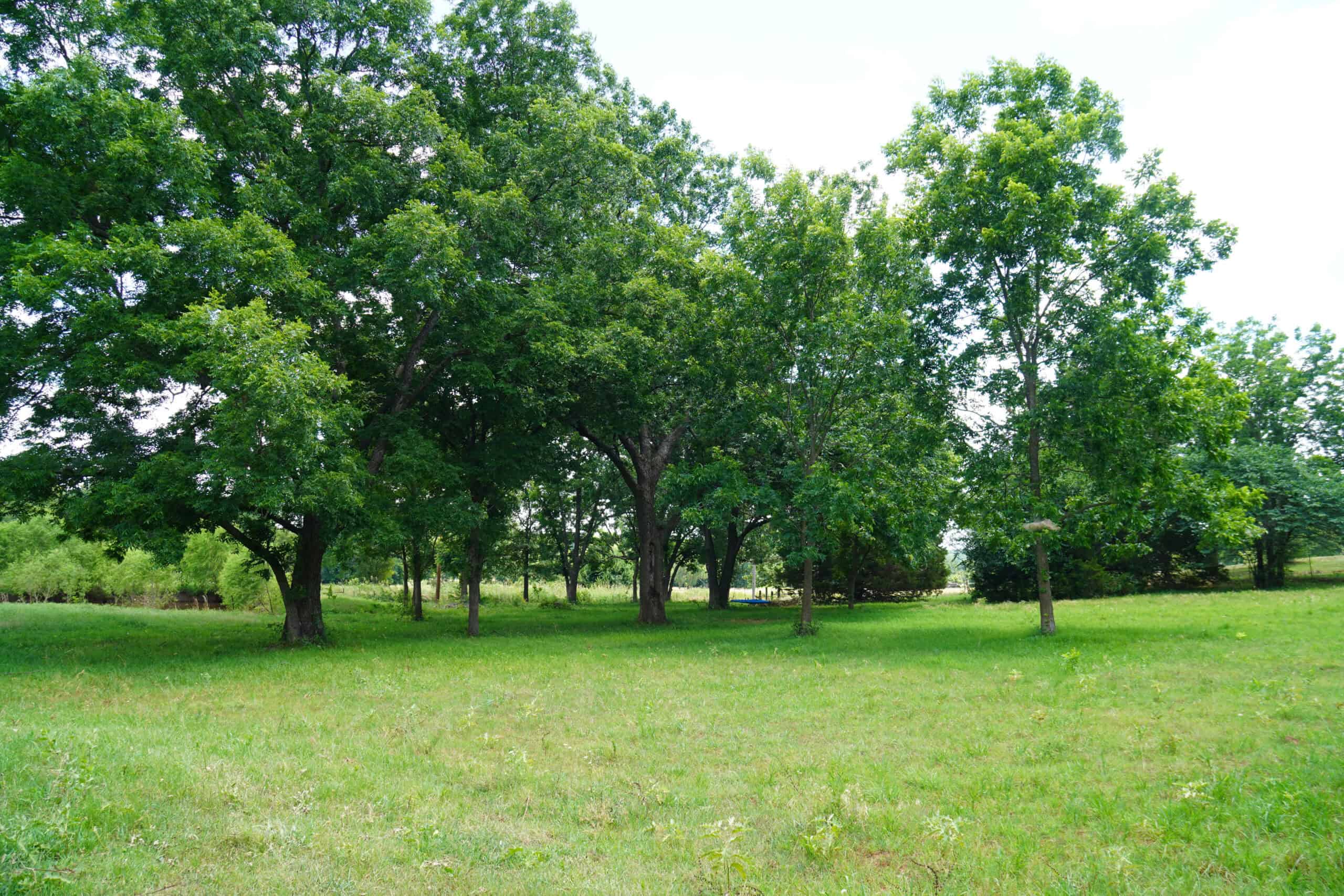 Recreational Hobby Farm For Sale, Chandler, Oklahoma