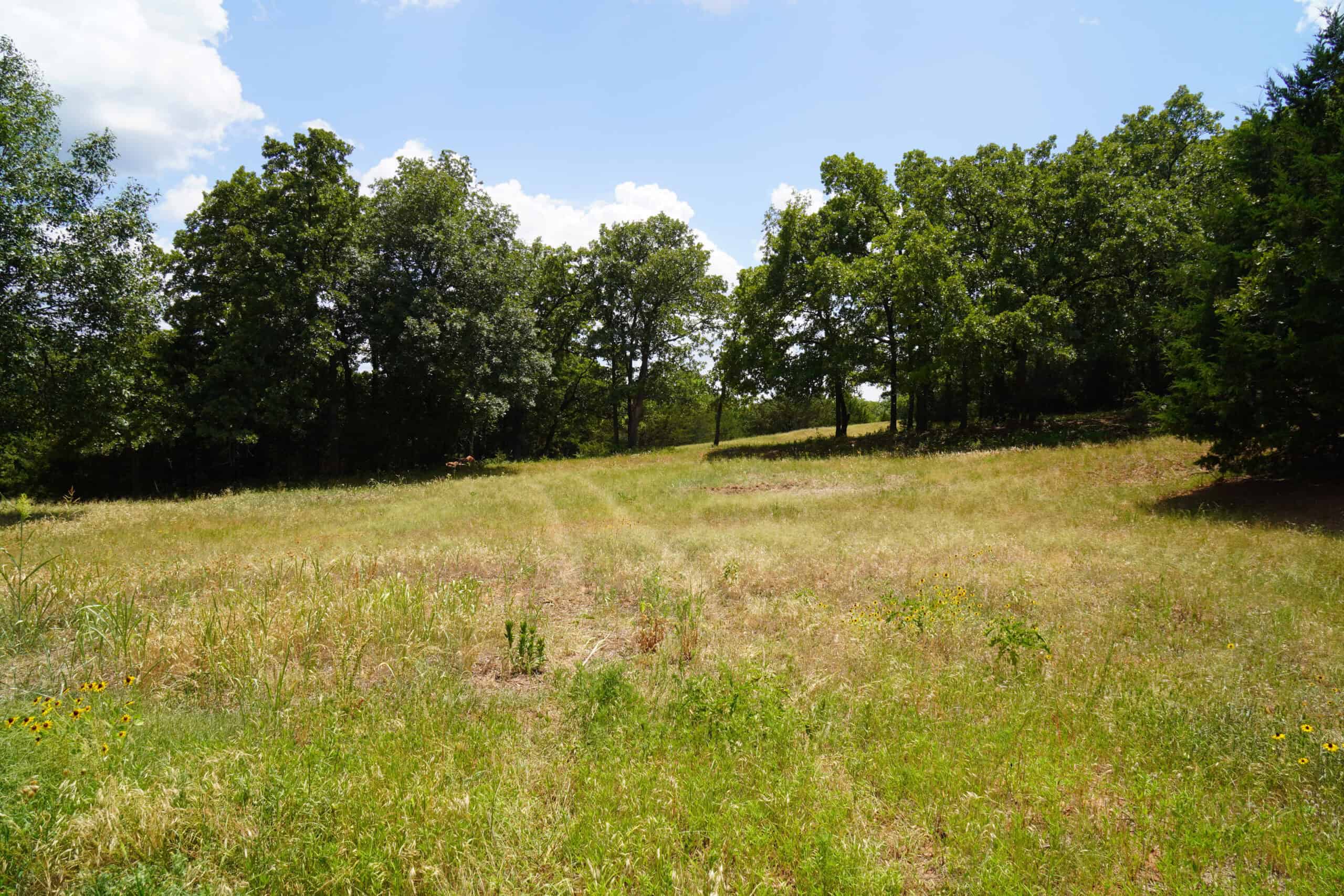 Recreational Hobby Farm For Sale, Chandler, Oklahoma