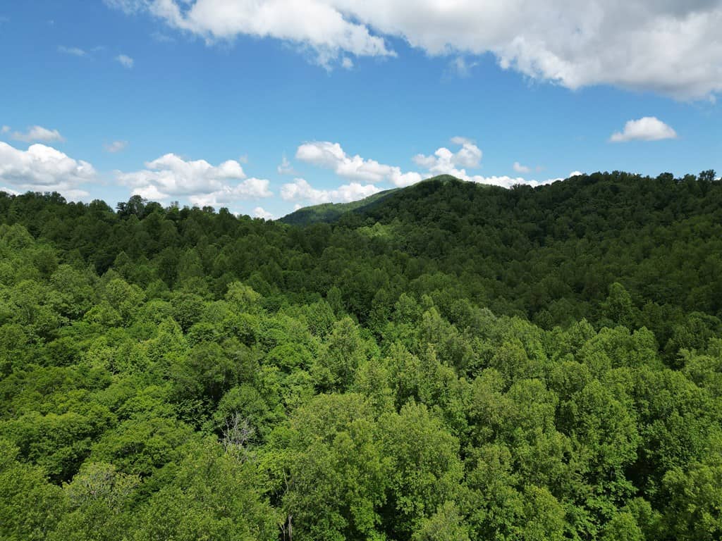 Discover Your Ultimate Hunting & Recreation Haven on 1052 Acres of Pristine Wilderness!