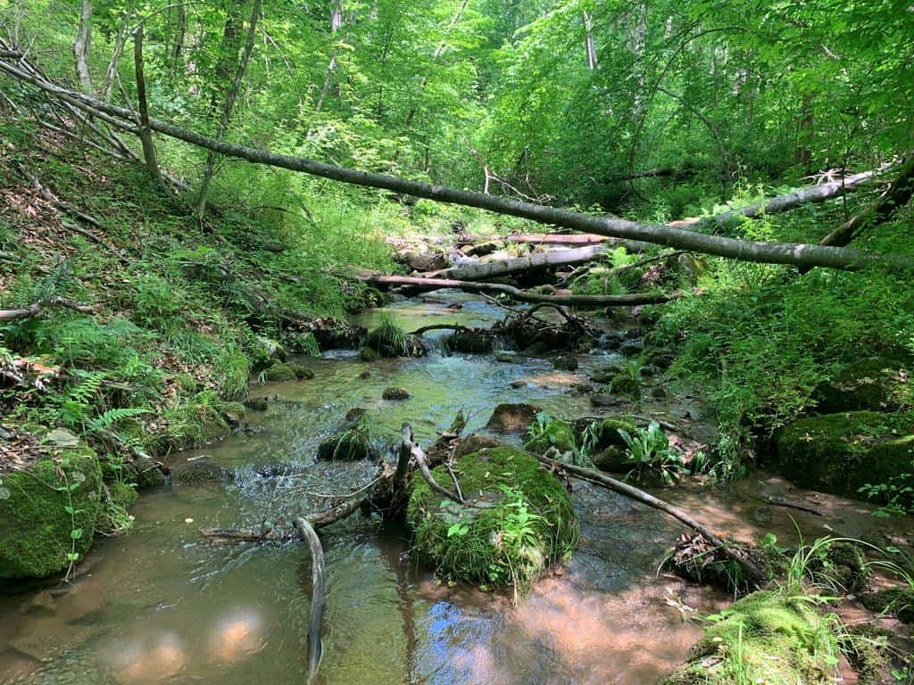 Discover Your Ultimate Hunting & Recreation Haven on 1052 Acres of Pristine Wilderness!