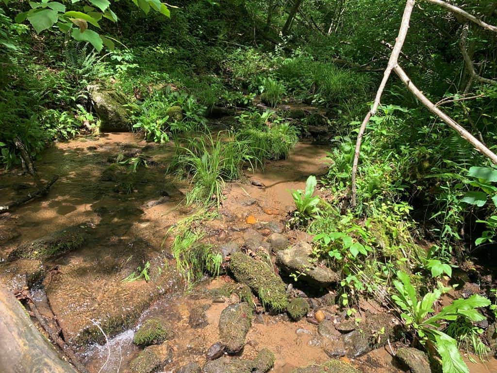 Discover Your Ultimate Hunting & Recreation Haven on 1052 Acres of Pristine Wilderness!
