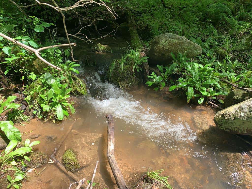 Discover Your Ultimate Hunting & Recreation Haven on 1052 Acres of Pristine Wilderness!