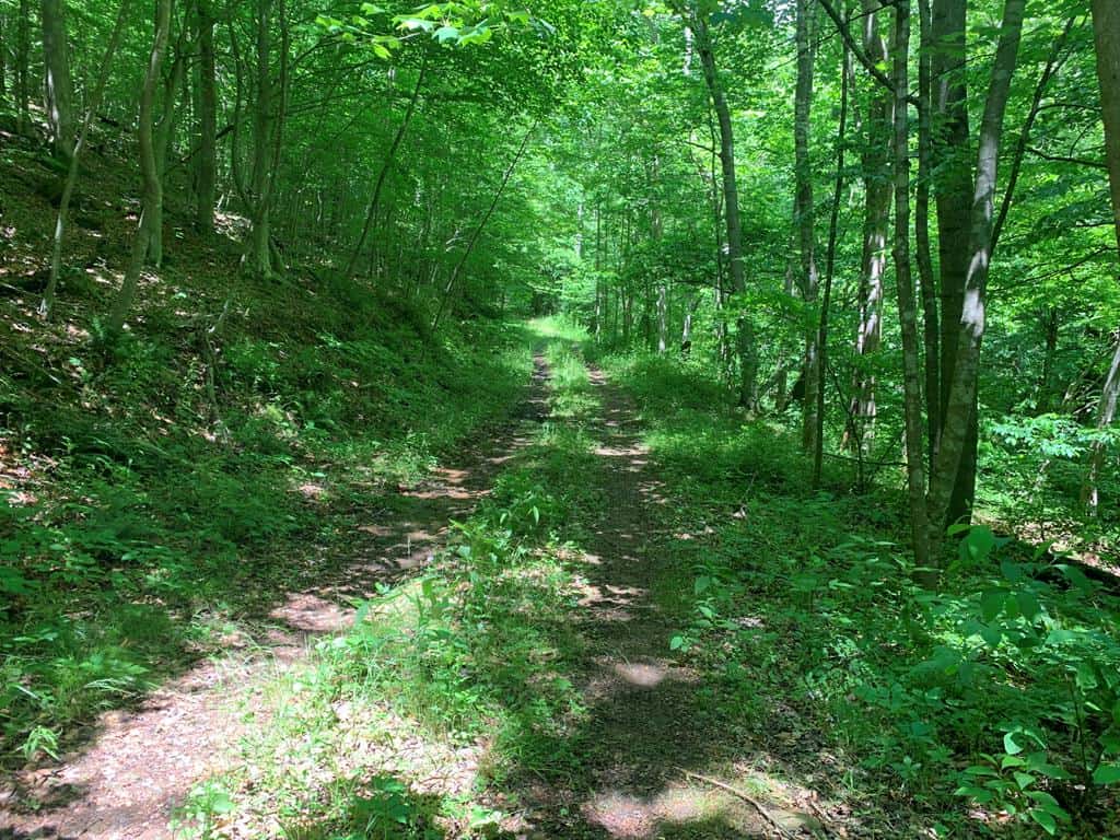 Discover Your Ultimate Hunting & Recreation Haven on 1052 Acres of Pristine Wilderness!