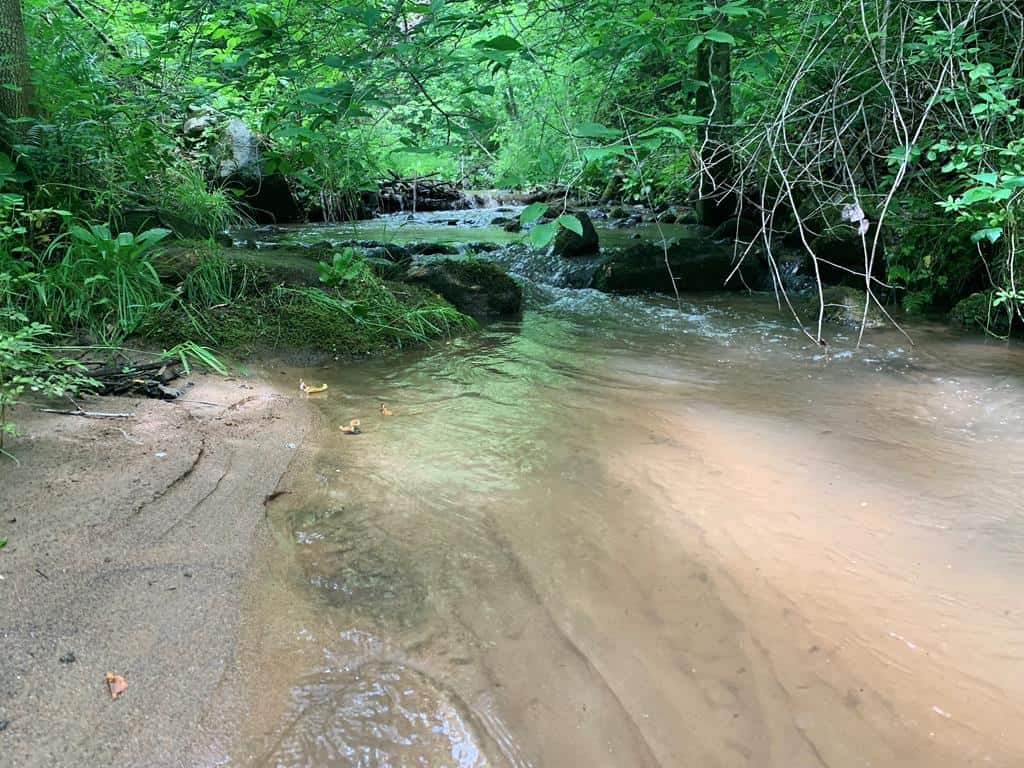 Discover Your Ultimate Hunting & Recreation Haven on 1052 Acres of Pristine Wilderness!