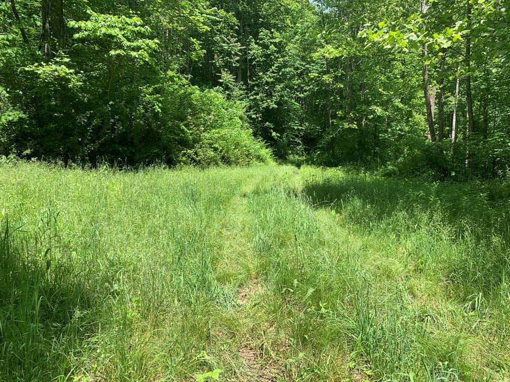Discover Your Ultimate Hunting & Recreation Haven on 1052 Acres of Pristine Wilderness!