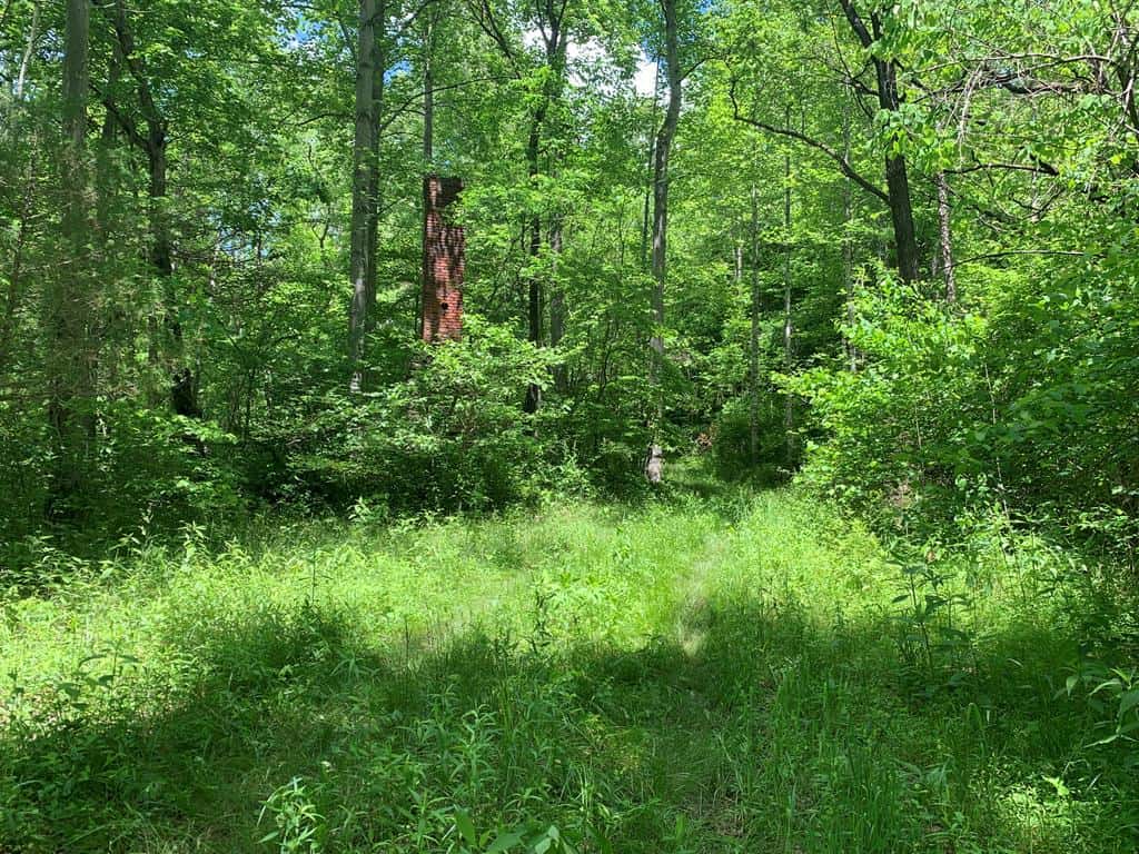 Discover Your Ultimate Hunting & Recreation Haven on 1052 Acres of Pristine Wilderness!