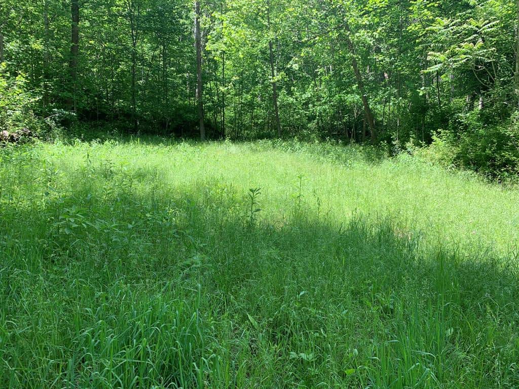 Discover Your Ultimate Hunting & Recreation Haven on 1052 Acres of Pristine Wilderness!