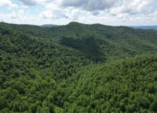 Discover Your Ultimate Hunting & Recreation Haven on 1052 Acres of Pristine Wilderness!