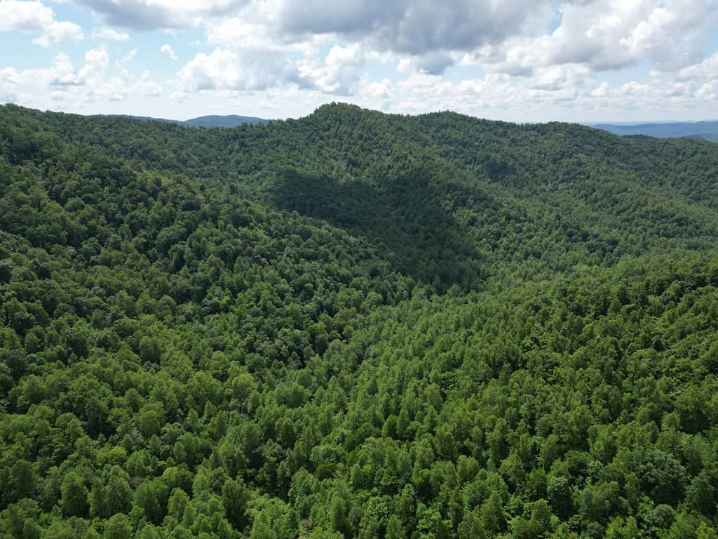Discover Your Ultimate Hunting & Recreation Haven on 1052 Acres of Pristine Wilderness!