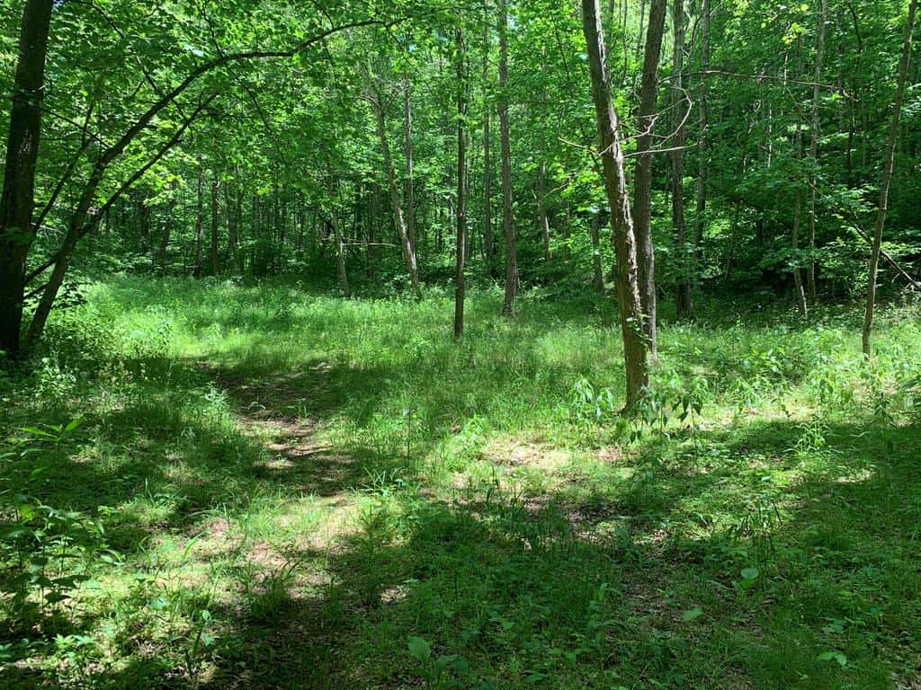 Discover Your Ultimate Hunting & Recreation Haven on 1052 Acres of Pristine Wilderness!