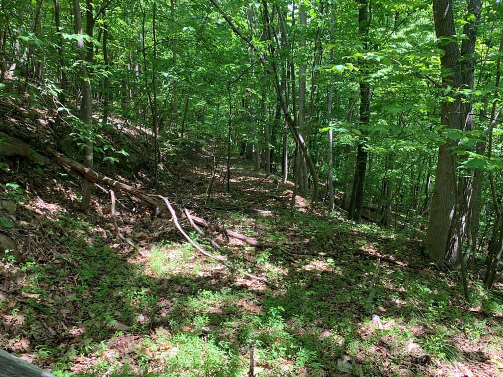 Discover Your Ultimate Hunting & Recreation Haven on 1052 Acres of Pristine Wilderness!