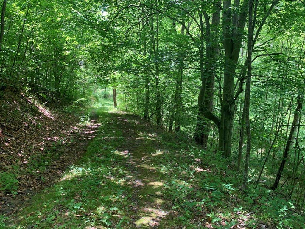 Discover Your Ultimate Hunting & Recreation Haven on 1052 Acres of Pristine Wilderness!