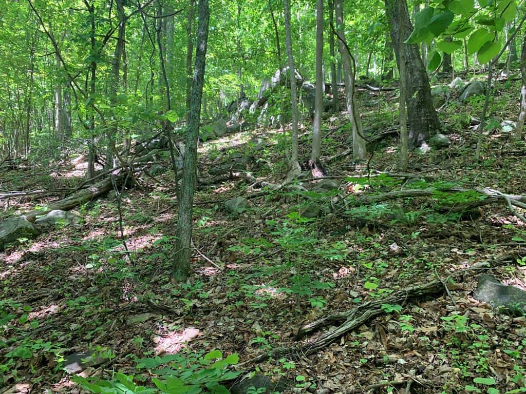 Discover Your Ultimate Hunting & Recreation Haven on 1052 Acres of Pristine Wilderness!