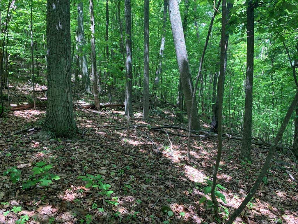 Discover Your Ultimate Hunting & Recreation Haven on 1052 Acres of Pristine Wilderness!