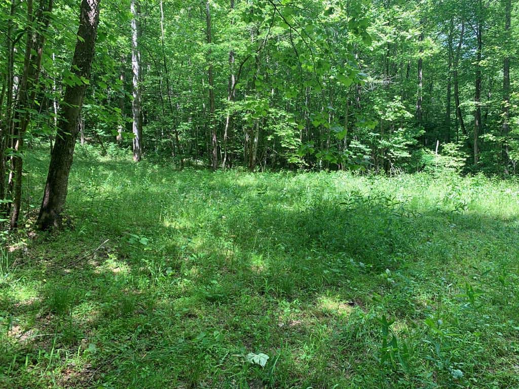 Discover Your Ultimate Hunting & Recreation Haven on 1052 Acres of Pristine Wilderness!
