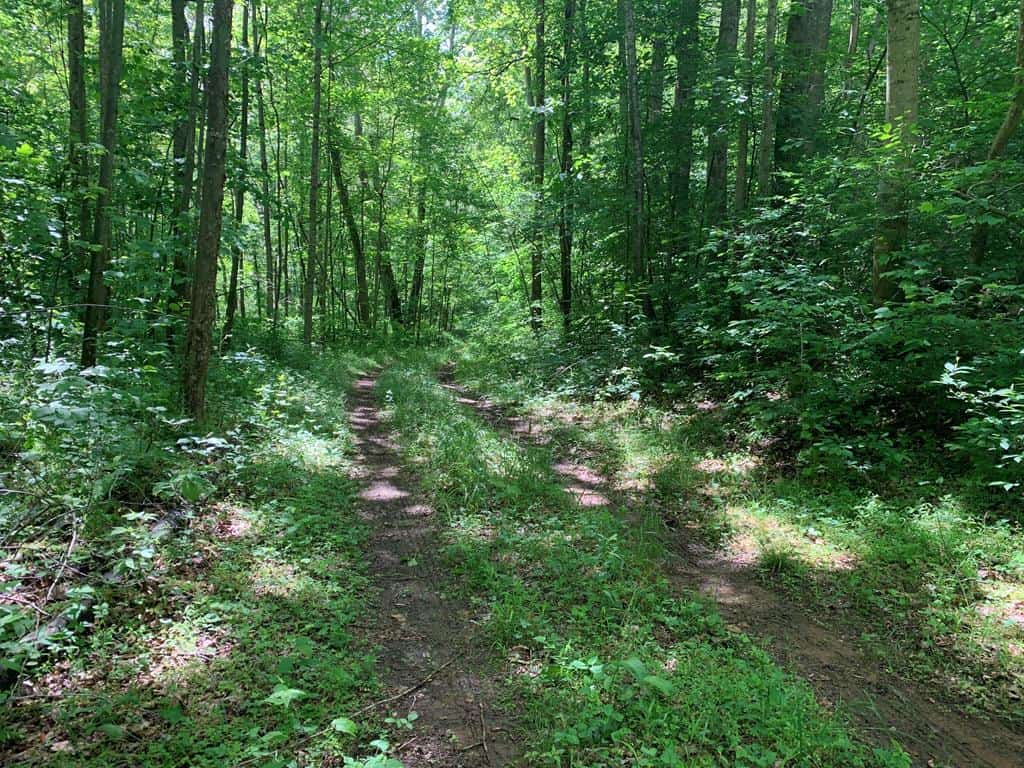 Discover Your Ultimate Hunting & Recreation Haven on 1052 Acres of Pristine Wilderness!