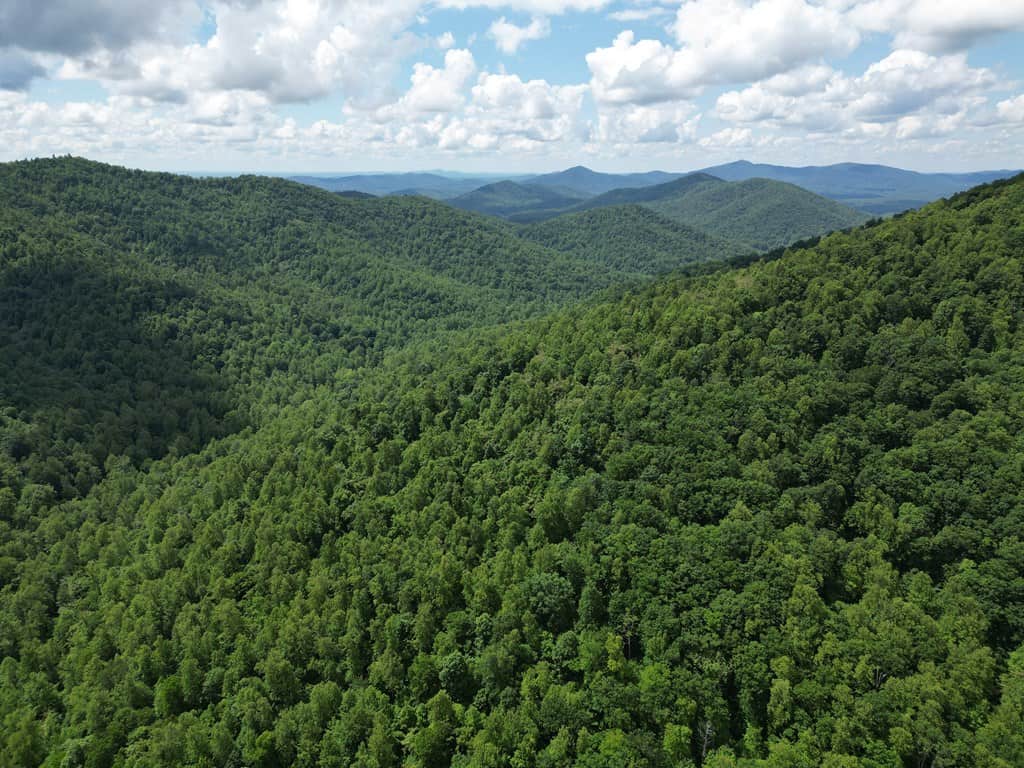 Discover Your Ultimate Hunting & Recreation Haven on 1052 Acres of Pristine Wilderness!