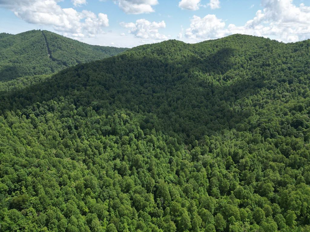 Discover Your Ultimate Hunting & Recreation Haven on 1052 Acres of Pristine Wilderness!