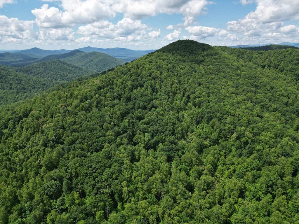 Discover Your Ultimate Hunting & Recreation Haven on 1052 Acres of Pristine Wilderness!