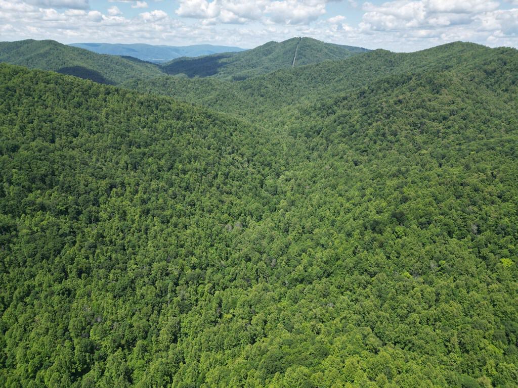 Discover Your Ultimate Hunting & Recreation Haven on 1052 Acres of Pristine Wilderness!