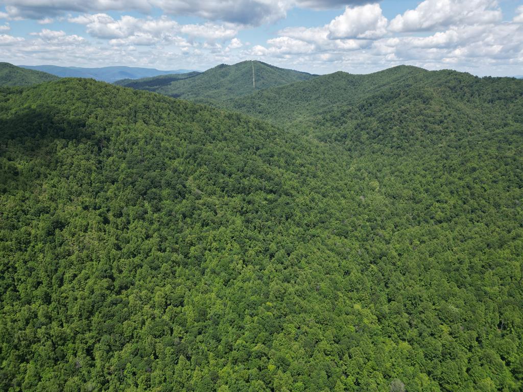 Discover Your Ultimate Hunting & Recreation Haven on 1052 Acres of Pristine Wilderness!
