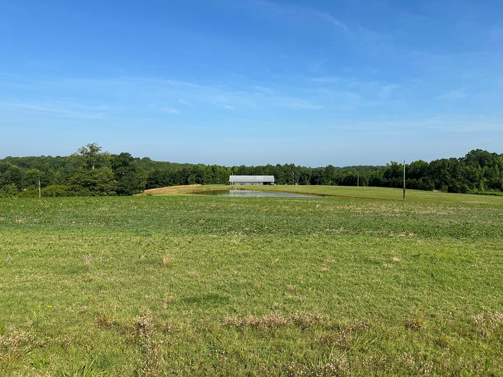 Hunting, Fishing, Recreation: Create Your Dream Retreat on Newton Road’s 22 Acres!