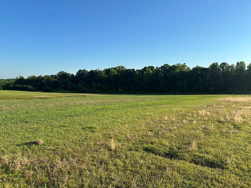 Hunting, Fishing, Recreation: Create Your Dream Retreat on Newton Road’s 22 Acres!