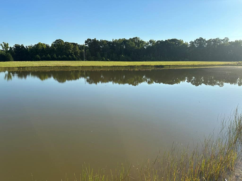 Hunting, Fishing, Recreation: Create Your Dream Retreat on Newton Road’s 22 Acres!