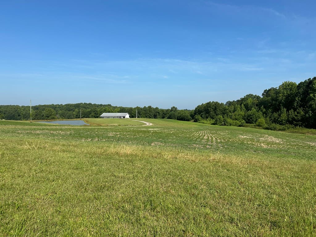 Hunting, Fishing, Recreation: Create Your Dream Retreat on Newton Road’s 22 Acres!
