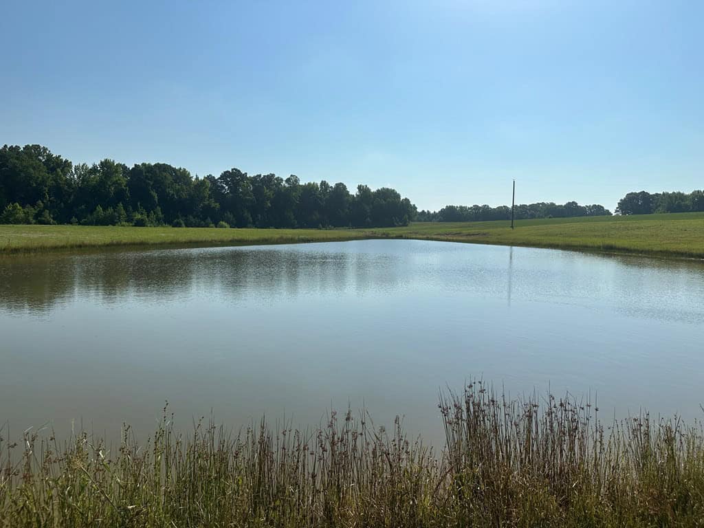 Hunting, Fishing, Recreation: Create Your Dream Retreat on Newton Road’s 22 Acres!