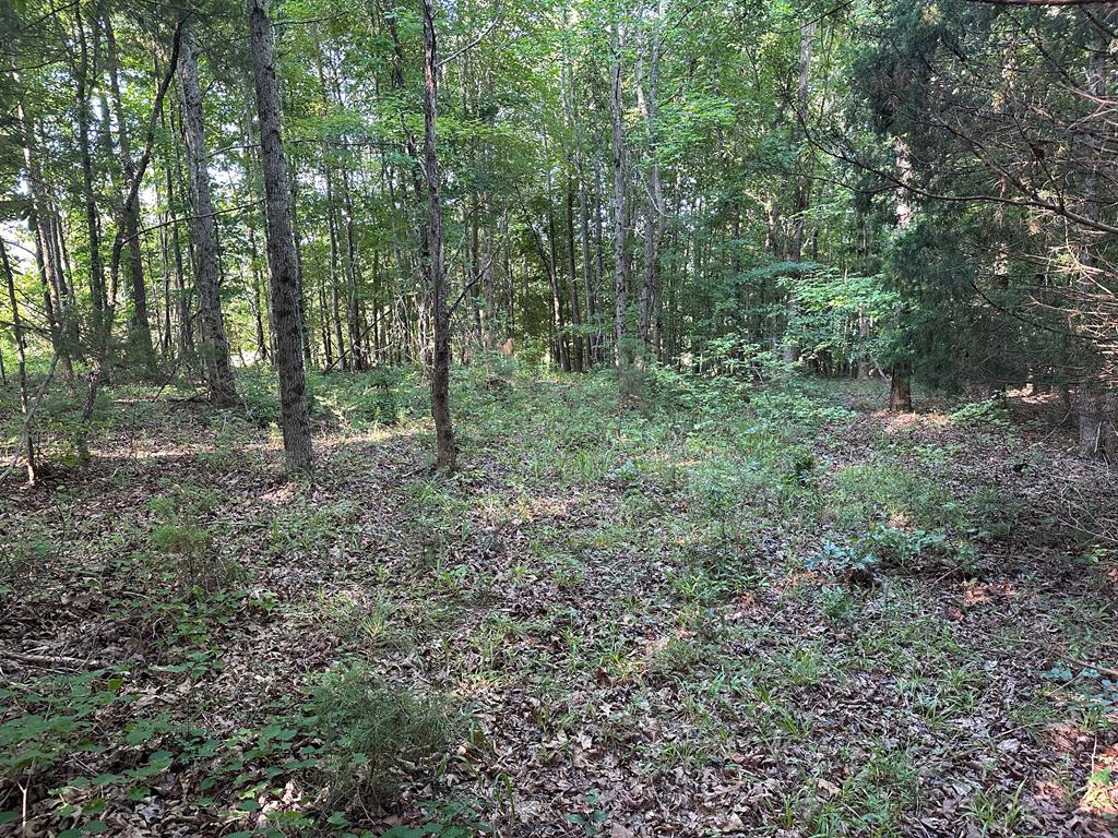 Hunting, Fishing, Recreation: Create Your Dream Retreat on Newton Road’s 22 Acres!