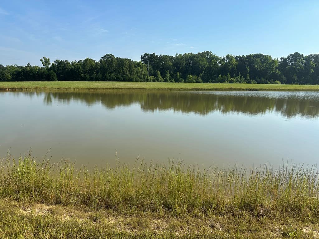 Hunting, Fishing, Recreation: Create Your Dream Retreat on Newton Road’s 22 Acres!