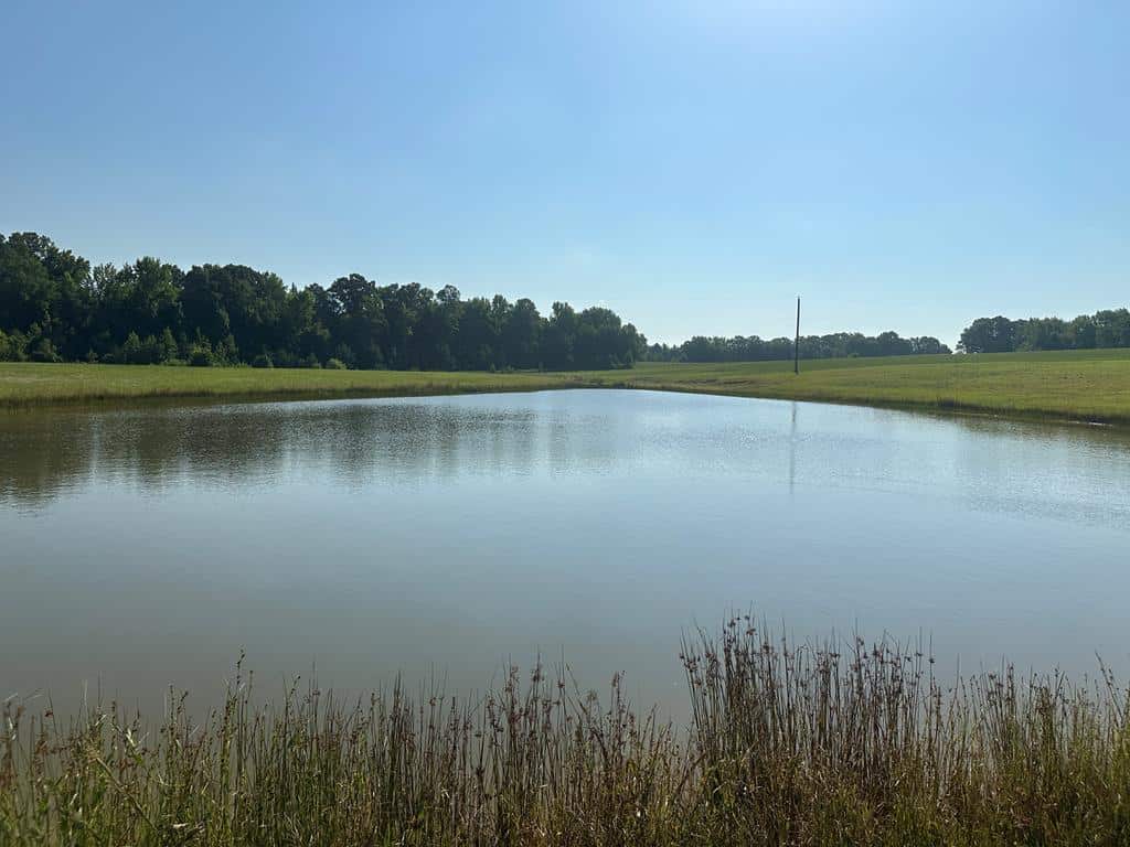 Hunting, Fishing, Recreation: Create Your Dream Retreat on Newton Road’s 22 Acres!