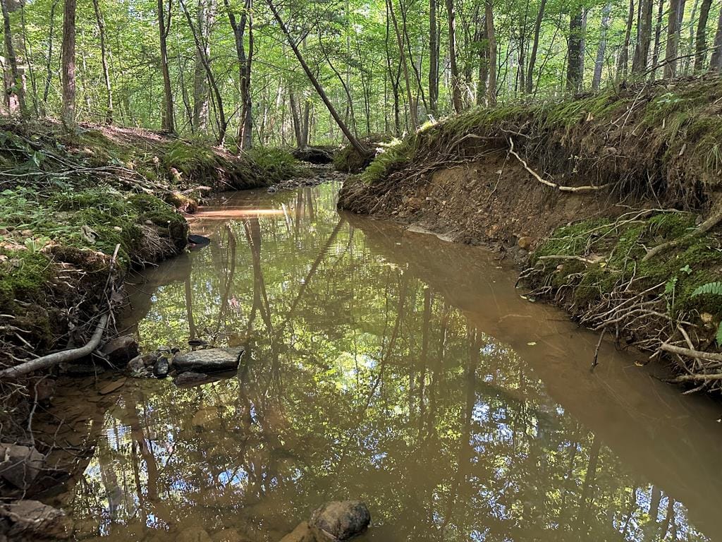 Hunting, Fishing, Recreation: Create Your Dream Retreat on Newton Road’s 22 Acres!