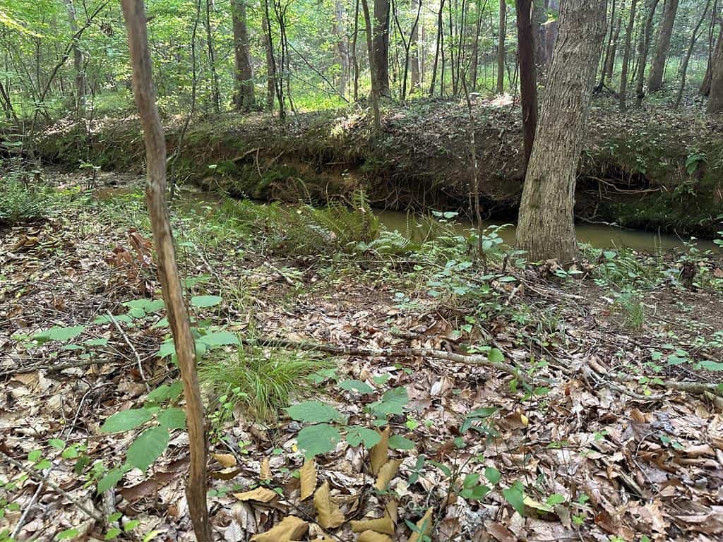 Hunting, Fishing, Recreation: Create Your Dream Retreat on Newton Road’s 22 Acres!