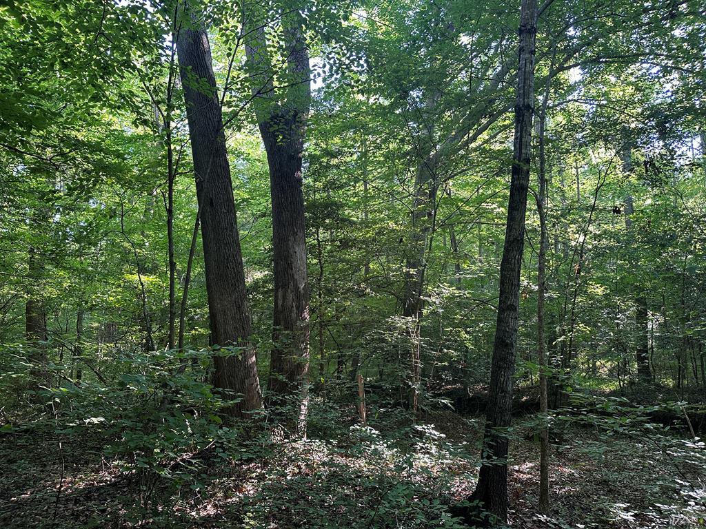 Hunting, Fishing, Recreation: Create Your Dream Retreat on Newton Road’s 22 Acres!