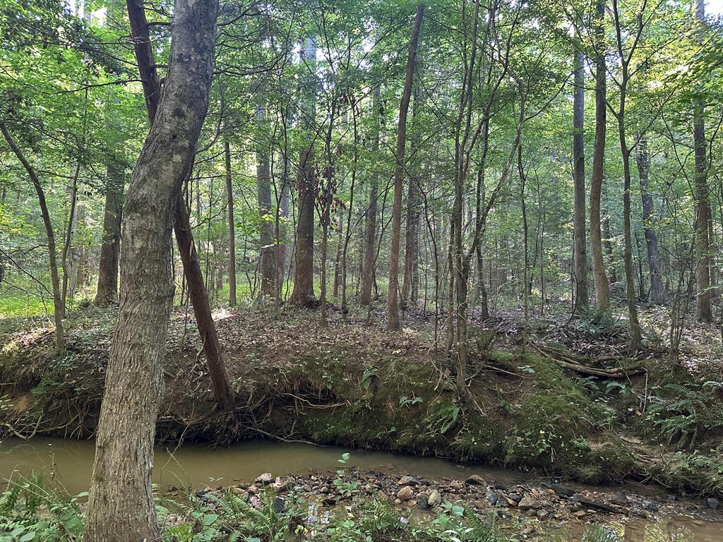Hunting, Fishing, Recreation: Create Your Dream Retreat on Newton Road’s 22 Acres!