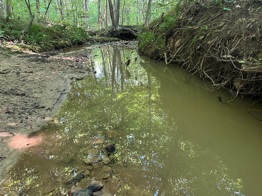 Hunting, Fishing, Recreation: Create Your Dream Retreat on Newton Road’s 22 Acres!