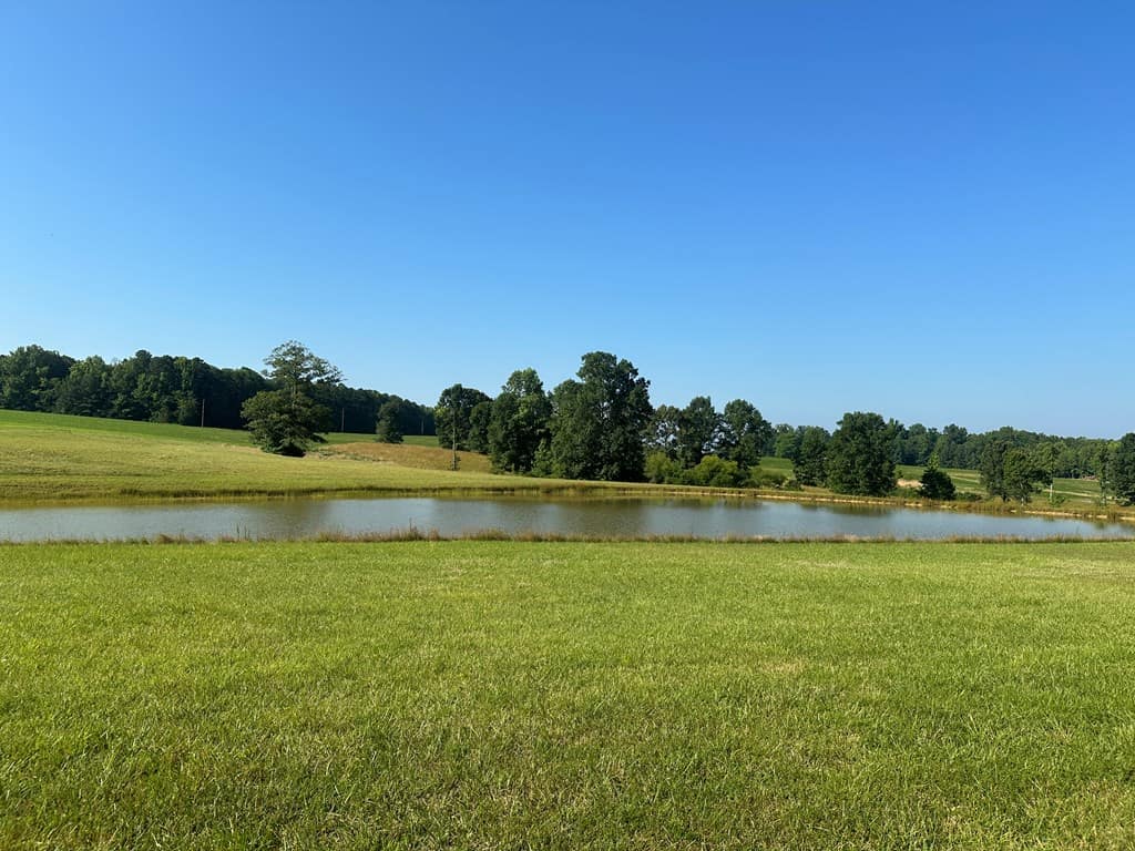 Hunting, Fishing, Recreation: Create Your Dream Retreat on Newton Road’s 22 Acres!