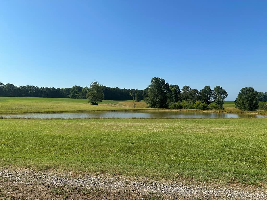 Hunting, Fishing, Recreation: Create Your Dream Retreat on Newton Road’s 22 Acres!